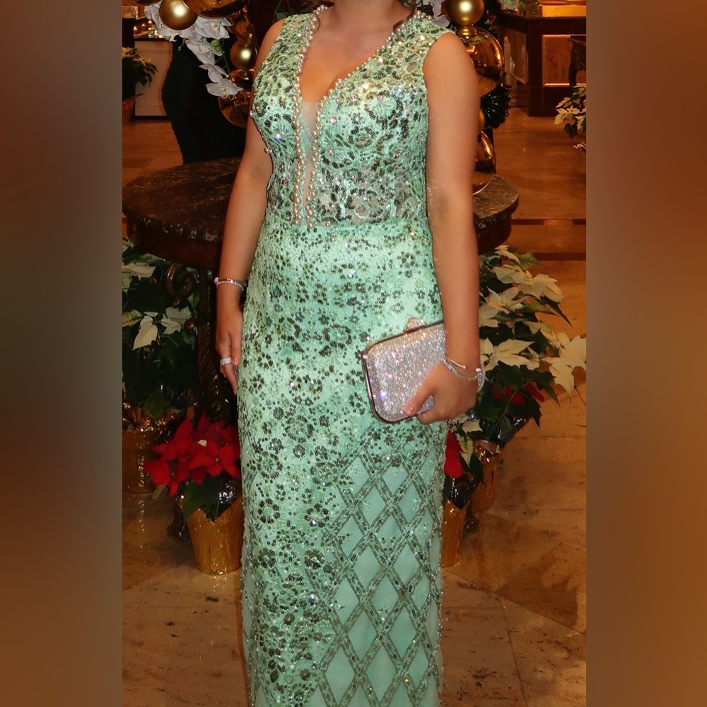 Embellished Mint Green V-Neck Maxi Gown